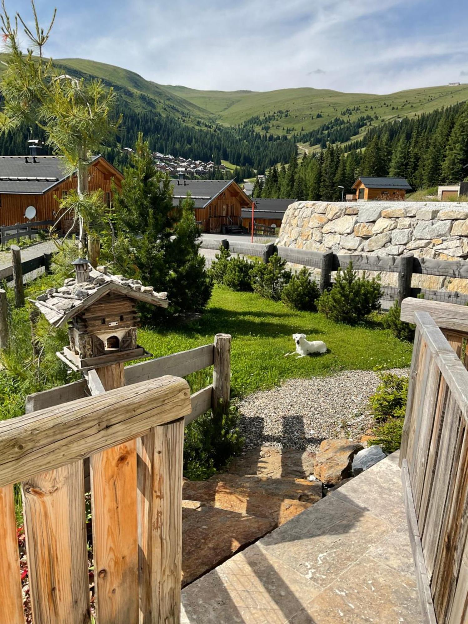 Almhaus Chalet Lachtal Oberwoelz Stadt Eksteriør bilde